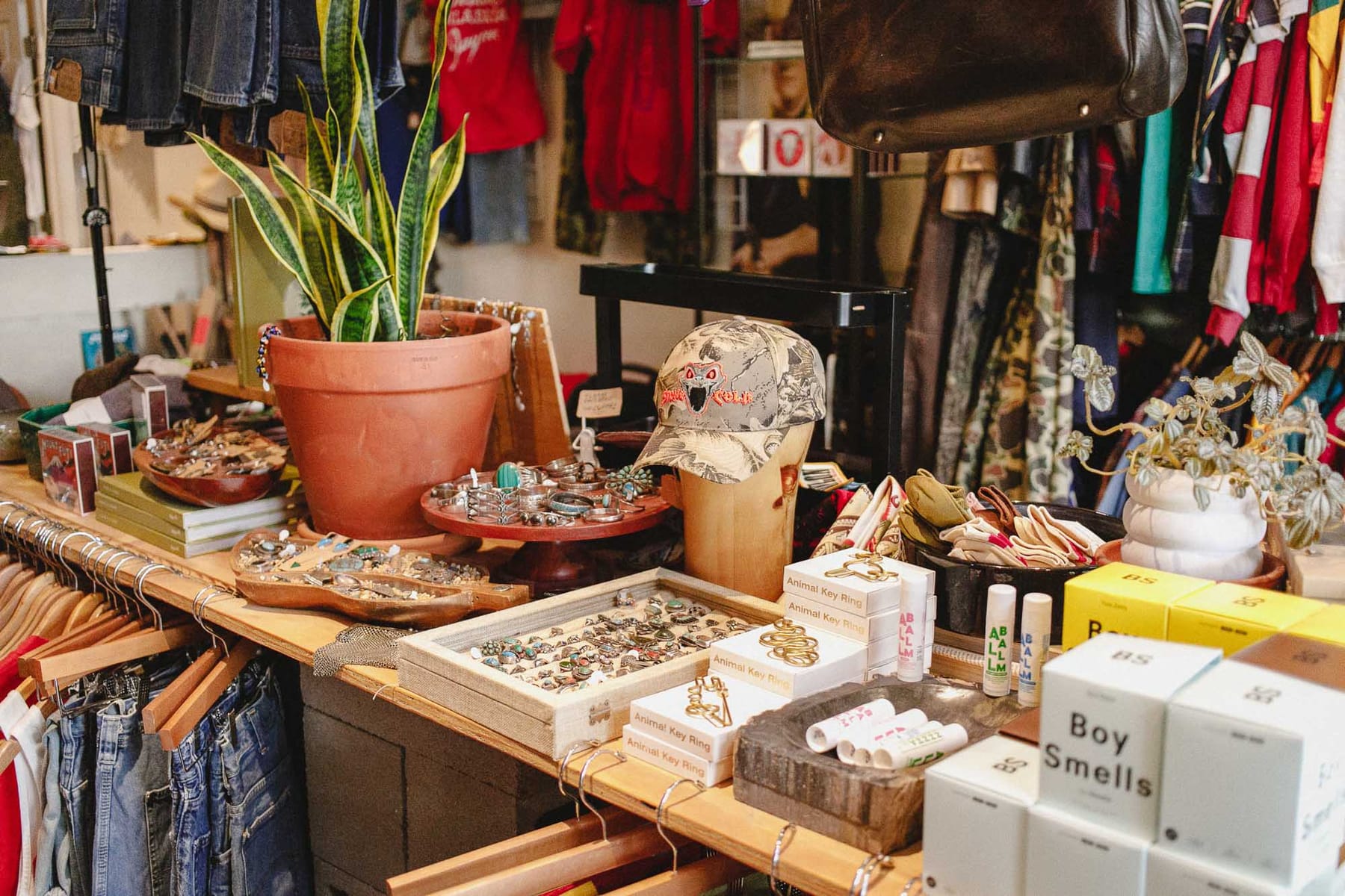 A table of small goods: trays of silver and turquoise jewelry, a snake plant in a terracotta pot, a printed cap on a stand, keyrings, lip balm and boxed candles.